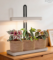 Kit Kebun Herbal Dalam Ruangan Lampu Tanam Set Pot Anyaman 3 Pot Spektrum Penuh Tiang Dapat Disesuaikan Timer Otomatis Bersertifikasi CE untuk Menanam Tanaman