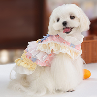 Jupe de princesse classique haut de gamme en polyester, design Lolita, unie, pour chiens miniatures, vente en gros transfrontalière, personnalisable