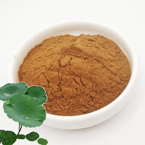 Производитель продает экстракт листьев лотоса с алкалоидом из 1% 98% листьев лотоса - Product Image 1