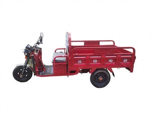 Tricycles à LED fermés d'occasion à vendre – Scooter à 3 roues / Tri-moto de l'usine chinoise - Product Image 6