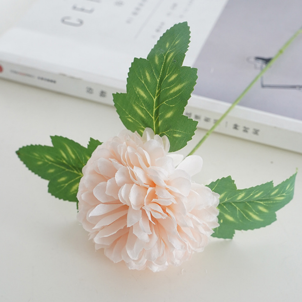 แชมเปญสีอ่อน