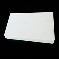 Plaque filtrante en céramique d'alumine-mullite légère de haute qualité pour applications pétrochimiques, briques réfractaires, découpe et soudage