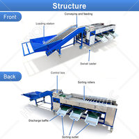 HNOC Automatische Kiwi Knoflook Sinaasappel Fruit Sorteermachine Bosbes Dadel Formaat Sorteer- en Wasmachine Prijs