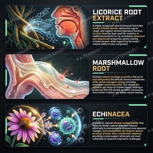 Gel Respiratorio OEM per Animali Domestici, Pasta Lenitiva per <span class=keywords><strong>Tosse</strong></span> di Cani e Gatti, Siringa per la Salute Polmonare, Etichetta Privata - Product Image 4