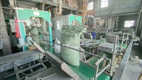 Machine d'emballage automatique pour sacs de 40-70 kg : fabrication, remplissage et scellage |   Machine d'emballage pour aliments pour animaux (DDGS, son de soja, son de blé) |   540-720 Sacs/H