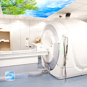 Auxosky Phẳng Vuông Chăm Sóc Sức Khỏe Chiếu Sáng Lựa Chọn Bởi Châu Âu 1000 + Nha Khoa Phòng Khám Không Có Sự Can thiệp Màu Xanh <span class=keywords><strong>LED</strong></span> Bầu Trời Trần Ánh Sáng Bảng Điều Chỉnh - Product Image 4