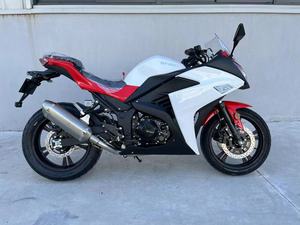 2023 SINSKI benzina Racring Scooter 250cc ciclomotore Bike130km/h speed2 ruota altra moto moto legale - Product Image 4