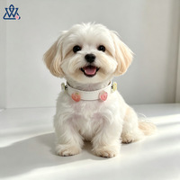 Collier pour chien de style Instagram, nouveau modèle, réglable en cuir avec accessoires décoratifs