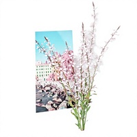 Cadre photo A4 en bois 3D rechargeable (blanc) style simple 23,3x32cm, décoration intérieure pour fleurs, souvenirs, médailles