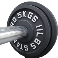 Disques de poids d'haltères de fitness accessoires d'équipement de gymnastique plaques d'haltérophilie plaques de poids en fonte à vendre