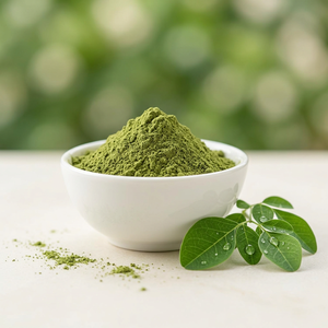 Poudre d'extrait naturel de Moringa Oleifera, fabricant de poudre à base de plantes, Moringa Oleifera en gros - Product Image 1