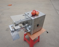 Fabriek Aanbieding Prijs Commerciële Elektrische Appelschiller Corer Snijmachine Hoge Precisie Appelschilmachine