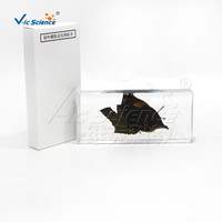 Échantillon transparent de papillon mimique de feuille morte Plastomount, spécimen de Lépidoptère pour la recherche en laboratoire d'entomologie ISO/ROHS/CNAS
