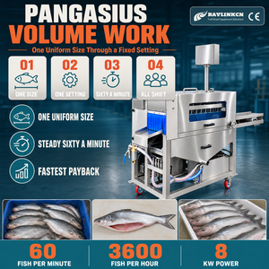 Planta Exportadora Evisceradora Continua de Pescado Acero Inox 304 Tres Mandos Independientes para Sardina Faenado de Pescado - Product Image 1