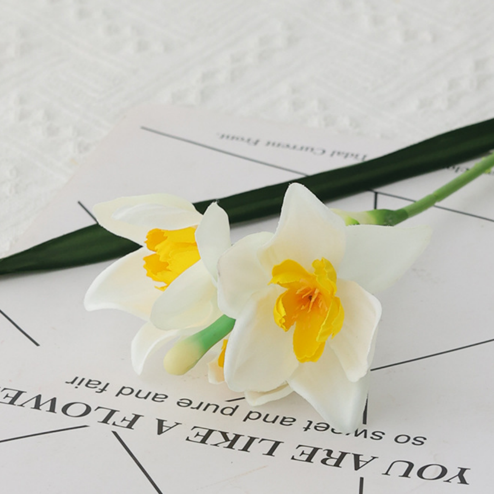 Fleur blanche au coeur jaune