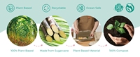 Boîte à bagasse à clapet 100% compostable personnalisée 9*6 pouces Récipient alimentaire à clapet biodégradable jetable