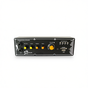 Professional <b>Speaker</b> <b>Amplifier</b> With Mic Input And Usb Sd Card Slot For Karaoke And Party Use - Product Image 2