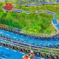 Carros de Luge Económicos para Niños y Adultos, Scooter de Gravedad para Juegos, Equipo de Diversión al Aire Libre, Montaña Rusa de Montaña en Venta