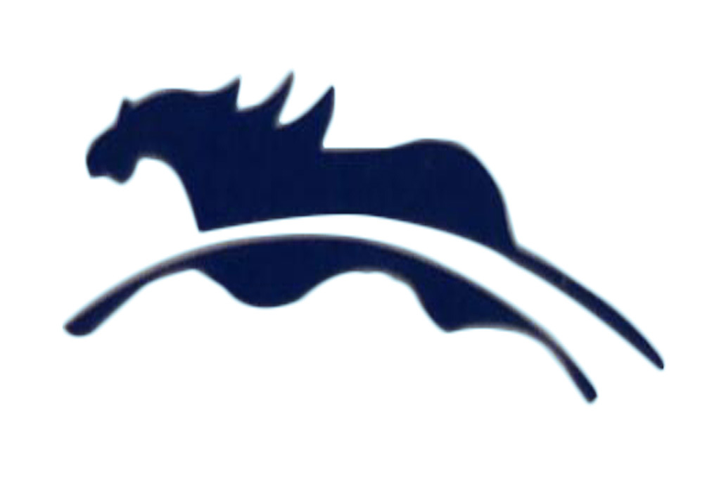 FEIMA BAG CO., LTD. logo