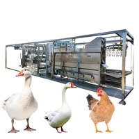 Équipement de traitement d'abattage de viande de volaille Ligne de production d'abattoir de viande de volaille