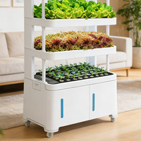 Système hydroponique vertical intelligent Seedafarm pour usage domestique avec culture sans sol à plusieurs niveaux pour légumes et semis