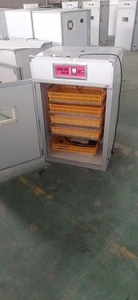 Nouvel incubateur d'œufs de volaille entièrement automatique et écologique de taille moyenne, capacité 88-2000 œufs, pour canards, oies, émeus, poulets - Product Image 2