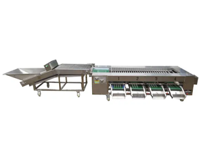 Máquina Clasificadora de Vegetales Personalizada/Máquina Clasificadora de Granadas <span class=keywords><strong>Soter</strong></span> para Manzanas - Product Image 3
