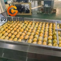 China Fabriek Prijs Goede Kwaliteit Compleet Vers Fruit Pulp Puree Productie Plant