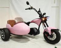 Scooter électrique à trois roues Layor Sidecar 4000W 30Ah GPS pliable, étanche, longue portée pour chiens