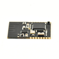 Module BLE 20 dBm 2,4 GHz à faible consommation d'énergie, module personnalisable GFSK SOC, modules sans fil pour balises connectées