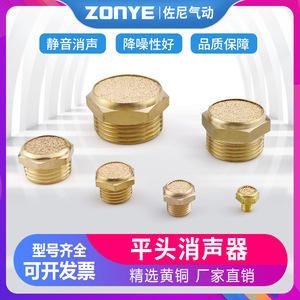 Vanne solénoïde pneumatique BSLM 1 pouce PSV-01 neuve, silencieux d'échappement à 0,2/3/4/6 points avec tête plate en cuivre et laiton M5 100% neuf - Product Image 5