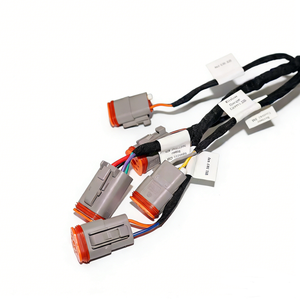 Aangepaste DT-serie waterdichte autoconnector DT04 12P mannelijk vrouwelijk automotive elektrische draadboom - Product Image 1
