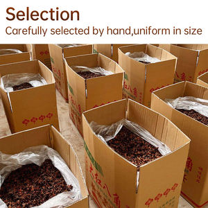 Anis étoilé séché 100% pur en granulés pour <span class=keywords><strong>épices</strong></span>, herbes, produits de haute qualité en provenance du Guangxi, Chine, livraison directe - Product Image 5