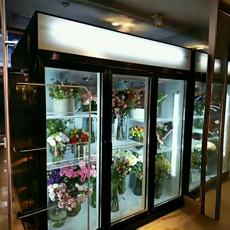Industrial Flower Farm Chiller with Heavy-Duty Shelves, Direct Cooling & Anti-Rust Steel Frame (50kg Capacity)