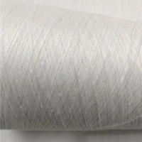 Wholesale 100% 60Nm Hemp Yarn for Weaving and Knitting Hemp Yarn