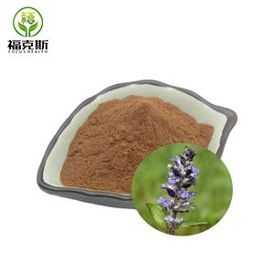 トルケスタニカエキストルケスタニカパウダー100% 天然 - Product Image 4