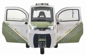 2024 Eec Fully Enclosed Mobility Scooter 3 Wheel Electric Car For Adults