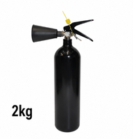 Extincteur à CO2 noir sans résidus de 2 kg avec buse professionnelle pour lutte rapide contre les incendies électriques