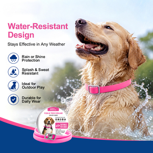 Collier <span class=keywords><strong>anti</strong></span>-puces pour <span class=keywords><strong>chien</strong></span> réglable, <span class=keywords><strong>naturel</strong></span>, longue durée, protection de 8 mois - Product Image 4