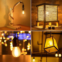 Ampoule à double globe E27 G45 2W Blanc chaud Blanc froid Verre transparent Ampoule à filament LED pour guirlande lumineuse Décoration de jardin Éclairage