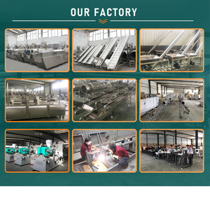 Dây Chuyền Sản Xuất Mảnh Ngô Kellogg Máy Đùn Trục Vít Đôi Tự Động Cho Mảnh Ngô - Product Image 5