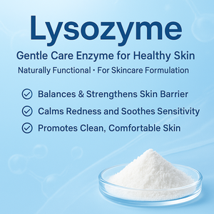 ผงไลโซไซม์เอนไซม์สำหรับใช้ในการหมักเครื่องสำอาง - Product Image 2