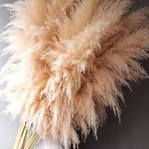 Actinifera Tự Nhiên Reed <span class=keywords><strong>Flower</strong></span> Net Cho Đám Cưới Mềm Ăn Mặc Sắp Xếp Người Nổi Tiếng Bất Hoa Cửa Hàng Trang Trí Hoa Cây - Product Image 1