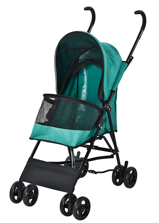 สีเขียวเป็ดน้ำ