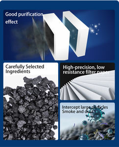 연기 냄새 제거기 통합 바베큐 연기 냄새 정화기 공장 SOUNINY OEM 먼지 제거기 BBQ용 - Product Image 6