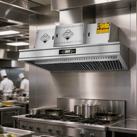 Campana Extractora Comercial de Acero Inoxidable con Panel de Control Táctil para Extracción de Humo y Grasa en Cocinas de Restaurantes