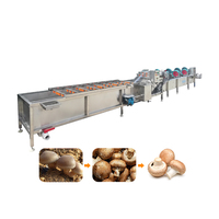 CCD Kleurselectie Fruit- en Groente Reinigings- en Sorteermachine voor het sorteren op maat en kleur van Cherry Tomaten en Paprika's