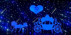 Twinkling Effect ม่านไฟ Led ควบคุมระยะไกล,ม่านแสงดาวสำหรับตกแต่งเวทีงานแต่งงาน - Product Image 6