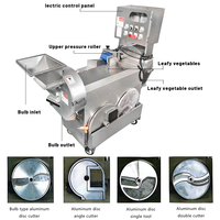 Machine industrielle automatique de découpe de légumes et de fruits pour oignon, pomme de terre, manioc, pomme, mangue, citron, noix de coco, et autres aliments en copeaux