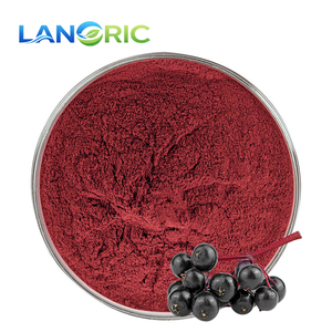 Порошок экстракта бузины оптом от производителя: антоцианы из экстракта бузины - Product Image 3
